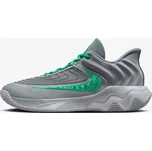 Nike GIANNIS IMMORTALITY 4 EUR 50.5