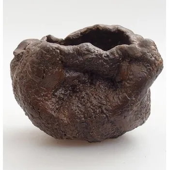 Květináč Keramická Skořápka 5 x 3 x 5 cm zelenohnědá