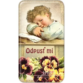 Dekorativní magnet Magnet Odpusť mi - Macešky