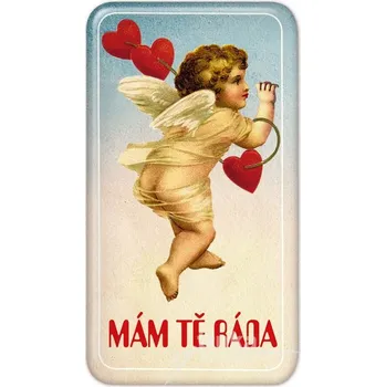 Dekorativní magnet Magnet Mám tě ráda - Zamilovaný andílek