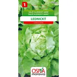 Osiva Moravia Salát hlávkový lednický…
