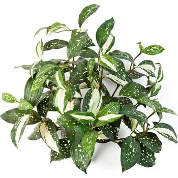 umělá květina Umělá popínavá rostlina Cordyline popínavý premium, průměr 30cm