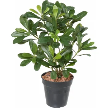 umělá květina Umělá květina Pittosporum bez květináče, 38cm