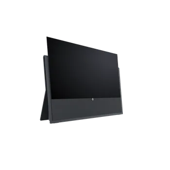 Televizor LOEWE TV Iconic I 65" 4K OLED, Grafit