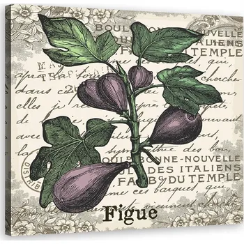 Obraz Obraz na plátně, Vintage kalhotky - 60x60