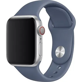 Řemínek na hodinky Řemínek pro Apple Watch (38/40/41mm) Sport Band, Alaskan Blue, velikost S/M