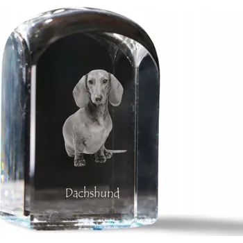 Obraz Jezevčík krátkosrstý fotografie v křišťálu, památka, těžítko na papír