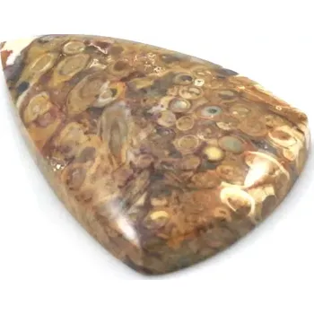 Drahý kámen Stromatolit do šperku