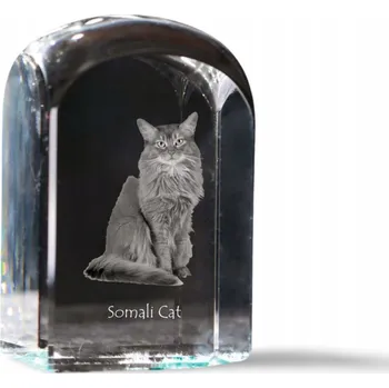 Obraz Kočka somálská – fotografie v křišťálu, suvenýr, trofej, těžítko na papír