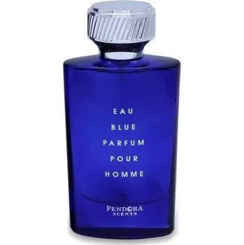 Pánský parfém Pendora Scents Eau Blue Parfum Pour Homme parfémovaná voda ve spreji 100ml