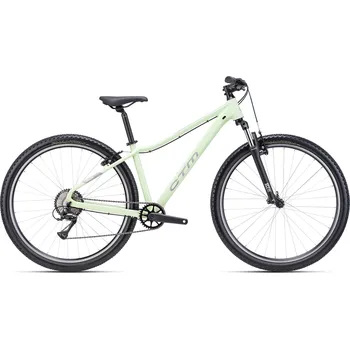 Horské kolo CTM CHARISMA 1.0 29 - pastelová zelená / sivá Velikost rámu: L