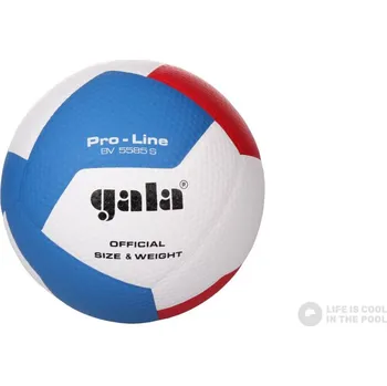 Volejbalový míč Volejbalový míč Gala PRO-LINE 12 panelů 5585 S