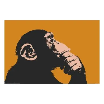 Plakát Plakát Monkey - Thinking
