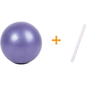 Gymnastický míč Sportago Pilate Ball 25 cm - fialová