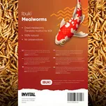 Invital Ibuki Mealworms 1 l