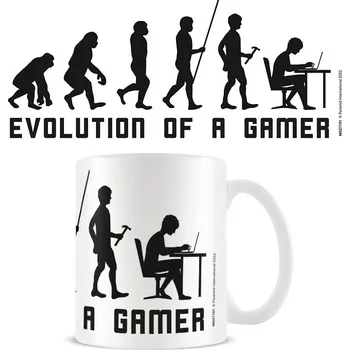 PYRAMID Evolution of Gamer 0.3 l