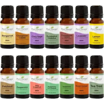 Plant Therapy Set Top 14 jednotlivých esenciálních olejů 140 ml