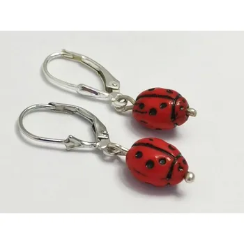 Náušnice Stříbrné naušnice beruška