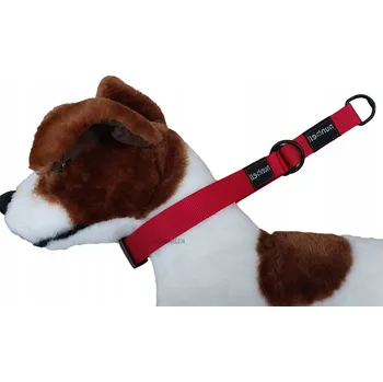 Obojek pro psa Materiálový obojek pro psa Nunbell, velikost L