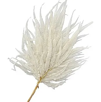 umělá květina Stabilizovaná kapradina, Dragon fern bílá, 10 ks