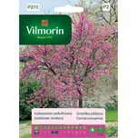 Vilmorin Premium zmarlika jidášova 1 g