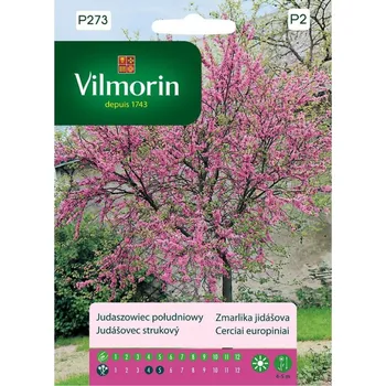 Semeno Vilmorin Premium zmarlika jidášova 1 g