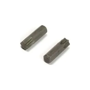 Bit Bit T30 - 25mm, WINTECH / balení 1 ks