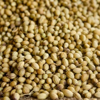 Koření Koriandr celý plod 1000g Zelené Drahokamy