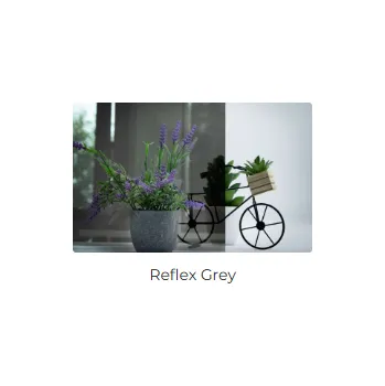 Dveře s nadsvětlíkem (nad dveřmi) Sklo: Reflexní šedé