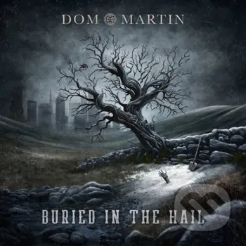 Zahraniční hudba Dom Martin: Buried In The Hail LP - Dom Martin Hudobné albumy
