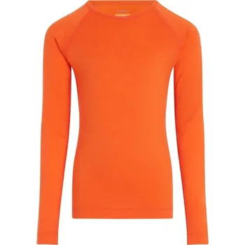 Pánské tričko Outdoorové tričko Icebreaker Merino 200 Oasis LS Kids 12