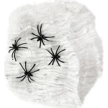 Pavoučí síť s pavouky