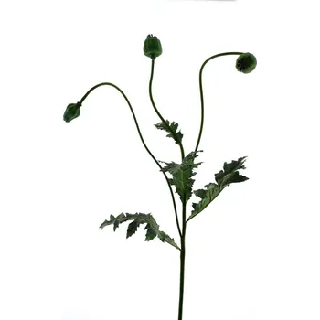 umělá květina umělé květiny, Mák 'Capsule' zelený V92 cm
