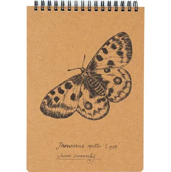 Zápisník Lesní svět Eko blok z recy papíru M - Jasoň červenooký