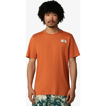 Pánské tričko The North Face Graphic L 472981