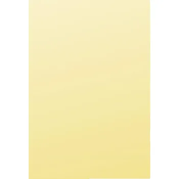 Karton PP Zakládací obaly L silné A4, 150 mic, žluté, 10ks 206.105