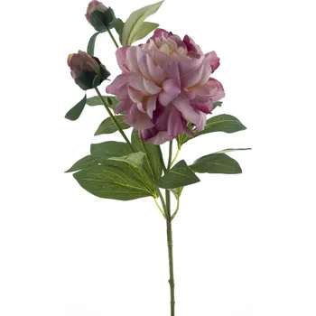 umělá květina umělé květiny, Pivoňka - Paeonia 'Sango' růžová V66 cm