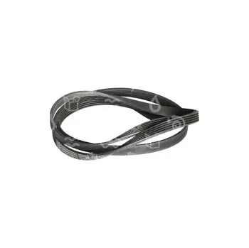 Příslušenství pro kuchyňský robot řemen vícedrážkový 2010 H7, WHIRLPOOL (480112101469), 1009-524