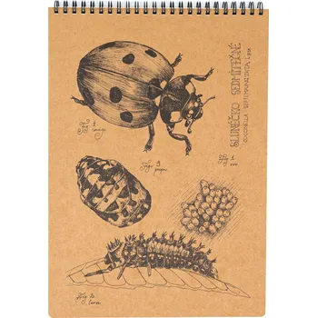 Zápisník Lesní svět Eko blok z recy papíru L - Slunéčko sedmitečné