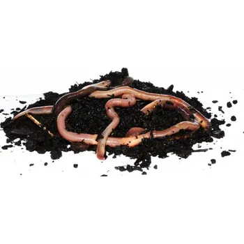 Umělá nástraha Akvaterakrmiva Kanadská rousnice 10ks