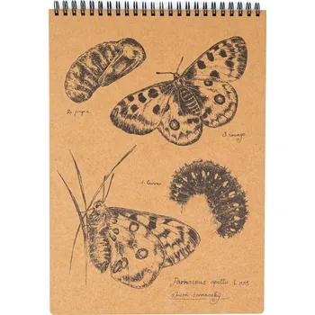 Zápisník Lesní svět Eko blok z recy papíru L - Jasoň červenooký