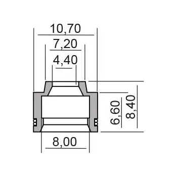 Auto-moto Gufero RMS 100669290 valve stem