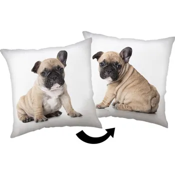 Polštář JERRY FABRICS Polštářek Bulldog Polyester, 40/40 cm