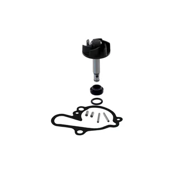 Těsnění motoru Opravná sada vodní pumpy RMS 100110081