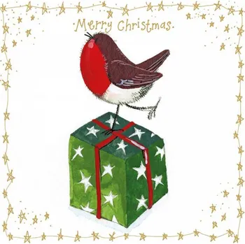Ptactvo Vánoční přání s obálkou Robin and Present, ALEX CLARK 10*10 cm