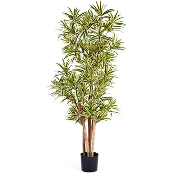 umělá květina Pleomele India umělá V 120 cm