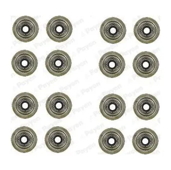 Těsnění motoru Sada těsnění, dřík ventilu PAYEN HR752