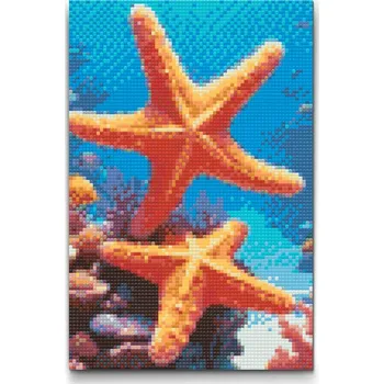 Diamantové malování Diamantové malování - Mořská hvězdice Velikost: 40x60cm, Rámování: Pouze srolované plátno, Diamanty: Čtvercové