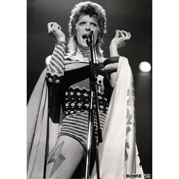 Plakát Plakát, Obraz - David Bowie - Ziggy Stardust 1973