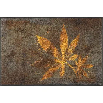 Rohožka wash+dry Interiérová rohožka Herb Blend 50x75 cm Rozmer: 50x75 cm